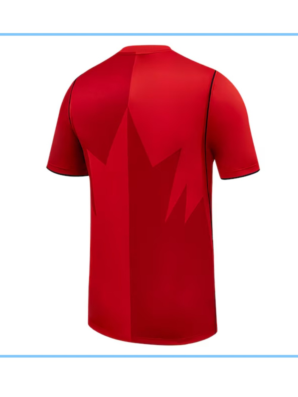 Canada Nike 2026 Stadium Home Men's Nike Dri-FIT Shirt - Picture 4 of 13